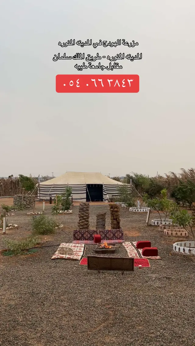 مخيمات المدينه المنوره 