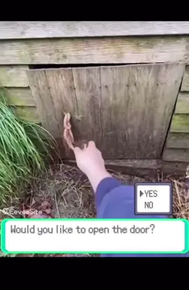 Pokémon #fyp #viral #pokemon #xyzbca #fypシ゚viral 