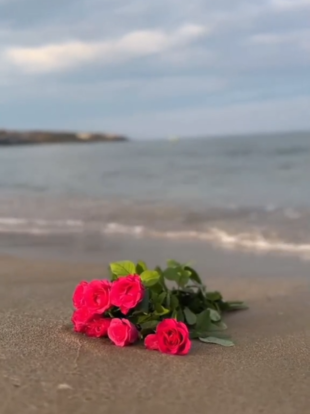 #creatorsearchinsights #بحر #ورود #شاطئ #احمد_سعد 