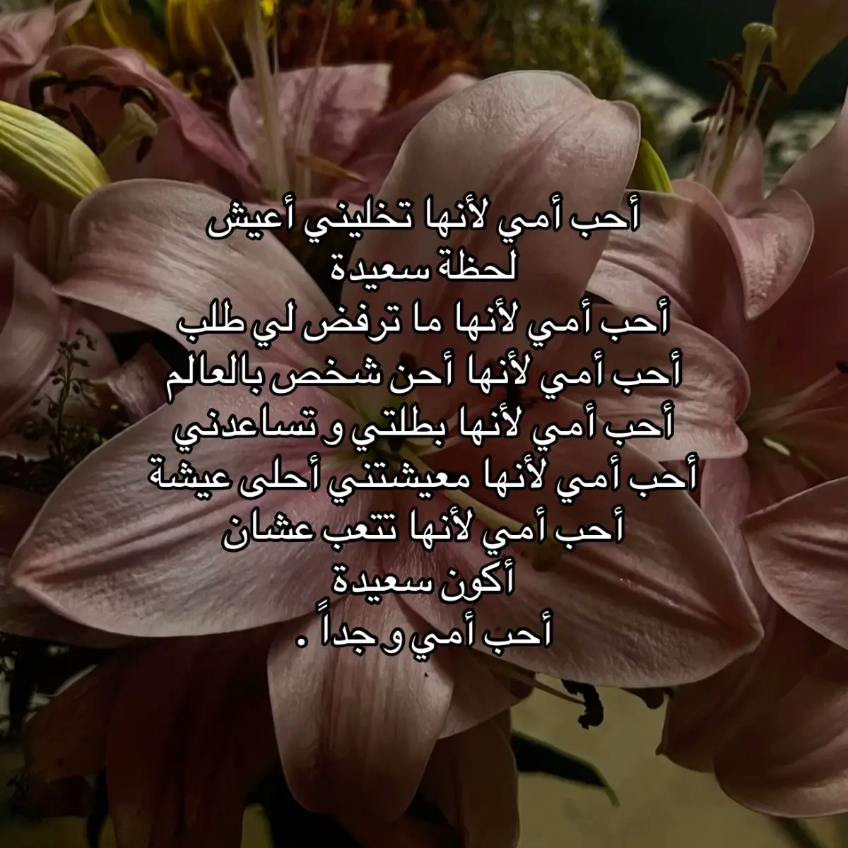 #explore #fyp #tiktok 