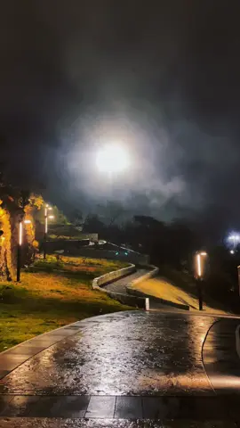 🌫️ ، #الباحة #ppppppppppppppppppppppp #explore #fyp #هواجيس #مطر 