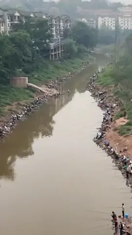 #molinete #pescando #peixe #carritilha #pescaria 