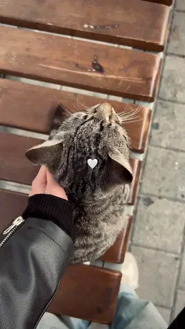 🤍 #fy #fypage #azerbaijan #baku #keşfet 