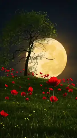 #رساله اليوم ونصيحه اليوم كالاتي#