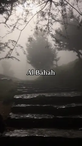 #albahah #الباحة #fyp #explore 