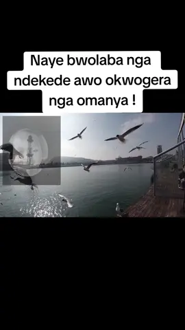 #foryou #trend #viral #tiktokuganda 