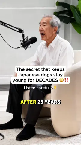 The secret that keeps Japanese dogs stay young for DECADES 😳‼️ #dogsoftiktok #doghealth #healthydog #usa🇺🇸 #dogsofusa 