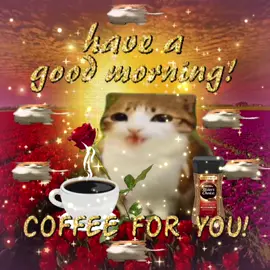have a good morning 💗☀️🌹☕️😸 #catcore #cats #popowpartner #nescafe #sillycat 