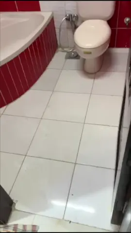 #interiordesign #homedecor #تشطيب_داخلي #design #الشعب_الصيني_ماله_حل😂😂 