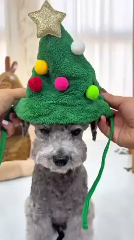 ROUPINHA PARA PET #petnatalino   #roupinhadepet   #acessóriospet   #cachorrinhonatal   #gatononatal  