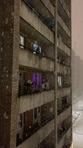 #рекомендации #снег 