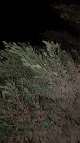 #القران_الكريم_راحه_نفسية😍🕋 