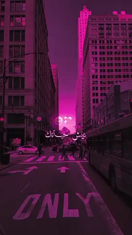 يا حمامة طارت 🎧🔥❤️‍🩹😍#اغاني_تونسية #تصميم_فيديوهات🎶🎤🎬 #تونس🇹🇳ليبيا🇱🇾الجزائر🇩🇿المغرب🇲🇦 #تونس🇹🇳_الجزائر🇩🇿_المغرب_مصرليبيا🇪🇬😍 #اغاني 