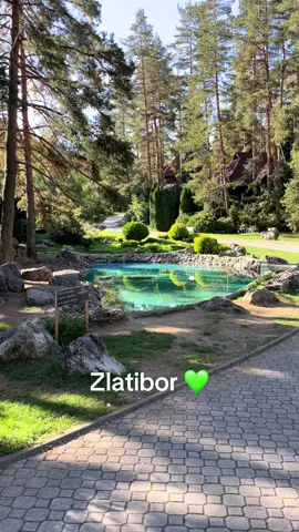 #zlatibormountain #zlatiborsrbija🇷🇸 #zlatibor #zlatiborsmestaj #zlatiborapartmani 