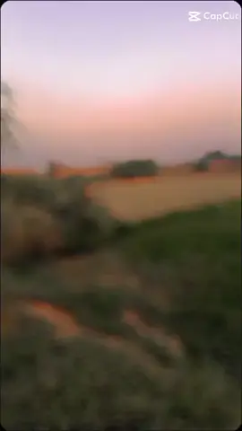 #🥰🥰🥰😍😍😍🤗🤗🤗💗💗💗 #🥰🥰🥰😍😍😍🤗🤗🤗💗💗💗 