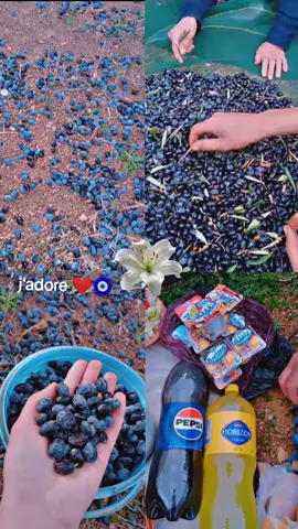 #ماشاءالله_تبارك_الله🧿❤️ 