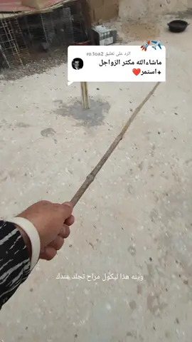 الرد على @ro.1oa2 ماكو شي يمي ومايجلد#الراوي #بصراويات #حمام #لوت 