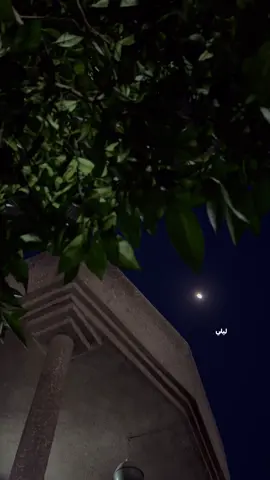 ##foryou #اكسبلورexplore 