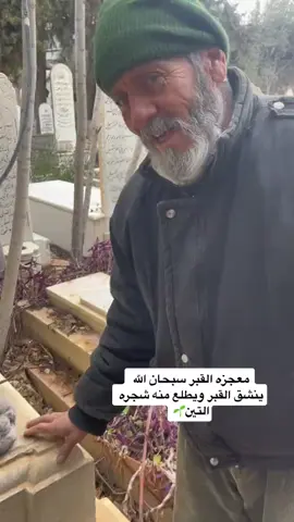 سبحان الله يدل ان اعماله زينه وربك طلع ثماره من القبر معجزه الدنيا ما تسوى والله#dsecbsgezsebce 