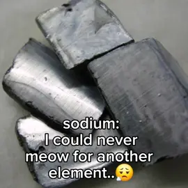 how do I caption this?  #meowmeow #fyp #sodium #trending #meme