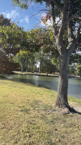 #LIVEIncentiveProgram #LIVEwithlowfollowers #PaidPartnership 