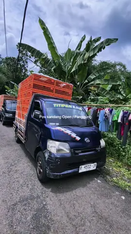 Telat sitik beda cerito 😁✌🏽 #titipanillahifarm #ayampotongfirman #ayambroiler #supplierayam #fypシ゚ 