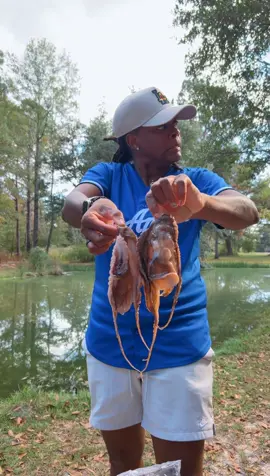 I be doing anything fr 😂 #octopus 