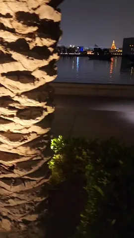 #قطر🇶🇦 #الدوحة #viral #foryou #fyp 