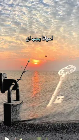 #علمتني_الايام #الشيخ_عبدالله_البواردي 