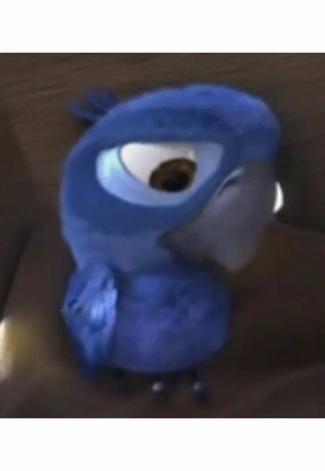 🤨🤨🤨🤨#foryou #viral #xyzbca #brum #foryou 