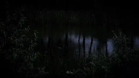 اللهم صل على محمد و آل محمد 🤍 #قناة_مناجاة #دعاء_الحجب #أدعية ##fyp 