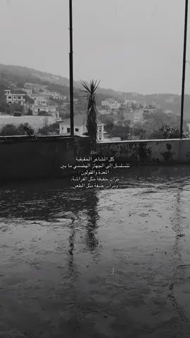 #foryou #تصويري📷 #تفاعلكم_لايك_متابعه_اكسبلوررررراexplorer #لبنان_مصر_الخليج_سوريا_العراق_الاردن #ستوريات_متنوعه_تصميمي 