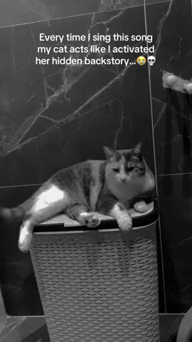 My cat gets super emotional every time I sing the Billie Eilish meow version to her… 😿😿 #fyp #cat #kedi #billieeilish #beniöneçıkart 