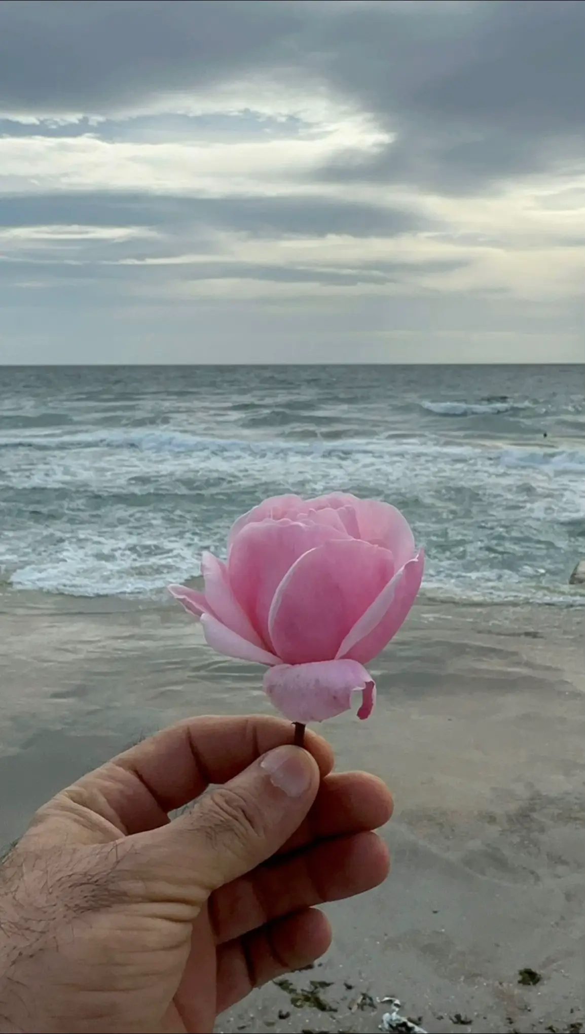 Çok doğru söylüyorsun