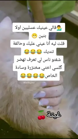 #fyppppppppppppppppppppppp #travel #fypシ゚ #الشعب_الصيني_ماله_حل😂😂 #🇲🇦 