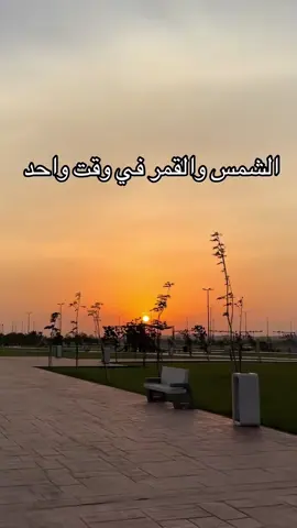 Yoriitchi vs kokochibo #شياطين #demonslayer #kokochibo #yortchi #mozan 