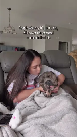 How could they say that he’s JUST a dog? 🥺🥺 #americanbully #bullybreeds #doglove #funnydog #dogparents #dogcontent #doglovers #funnydogs #dogowner #dogs #doghumor Dog life, dog humor, dogs, funny dogs, cute dogs