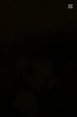 #creatorsearchinsights 