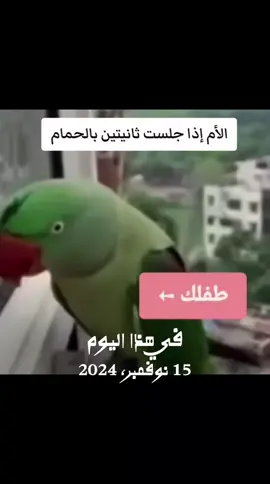 #في هذا اليوم