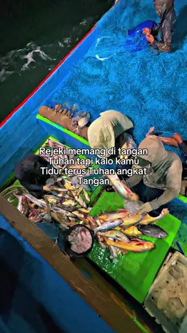 #penjaringmerauke #merauke_papua #papuaselatan #pelautmerauke #papsel 