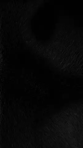 #gunners #forever  #viral_video #viral_video 