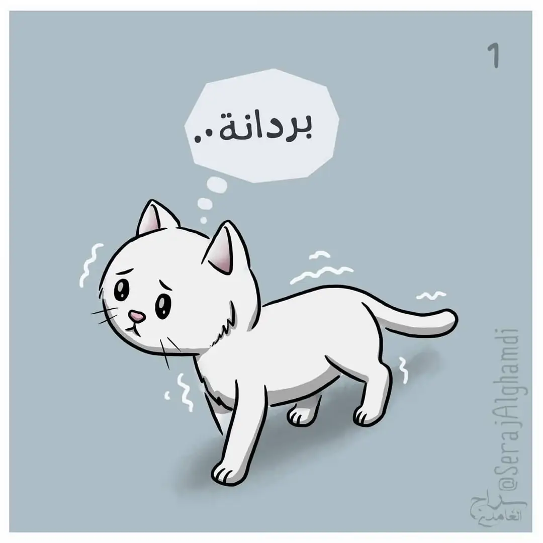 مع بداية فصل الشتاء تاكد قبل تشغيل السيارة 👍#سراج_الغامدي #fypシ゚ 