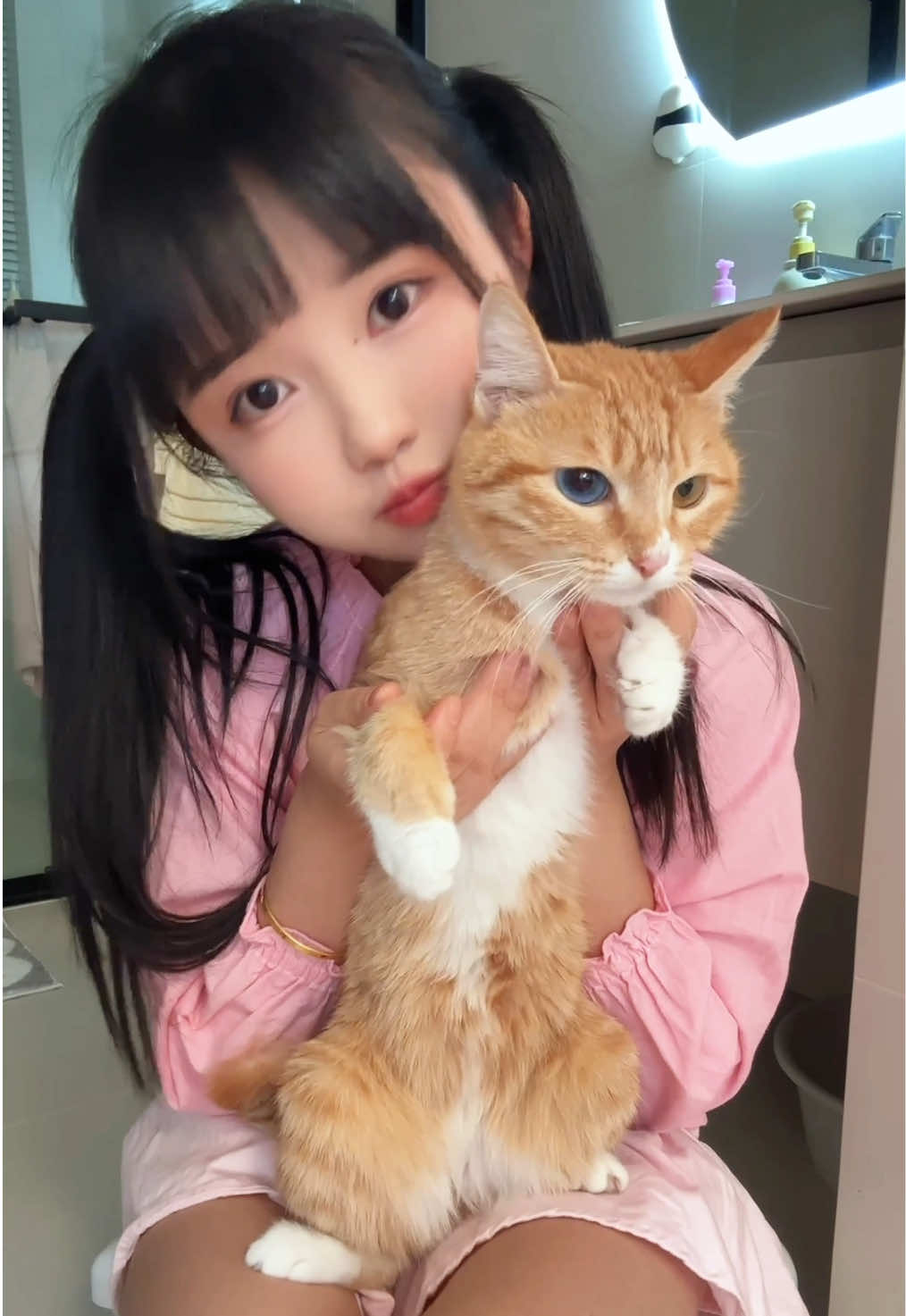 I haven't seen my cat for a long time. Its name is Little Orange.