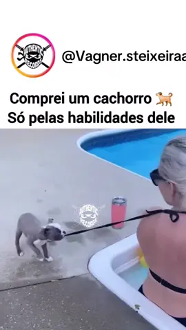 O cachorrinho sabe das manhas kkkkk