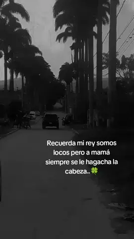 #paratiiiiiiiiiiiiiiiiiiiiiiiiiiiiiii #viral #viraltiktok #viralvideo #dgoldendg 