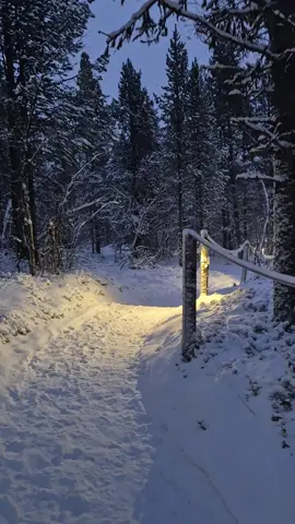 Beautiful morning stroll to work❄️ #lapland #finland #fyp 