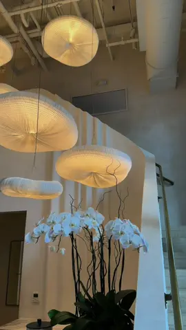 Heat wives and girlfriends afternoon workout @Libre_AF🧘‍♀️🤍