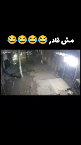 اسرع من مبابي😂😂😂😂 . #الشعب_الصيني_ماله_حل😂😂 #كلاب #كلاب_الشارع #كلاب_شرسة #ضحك 