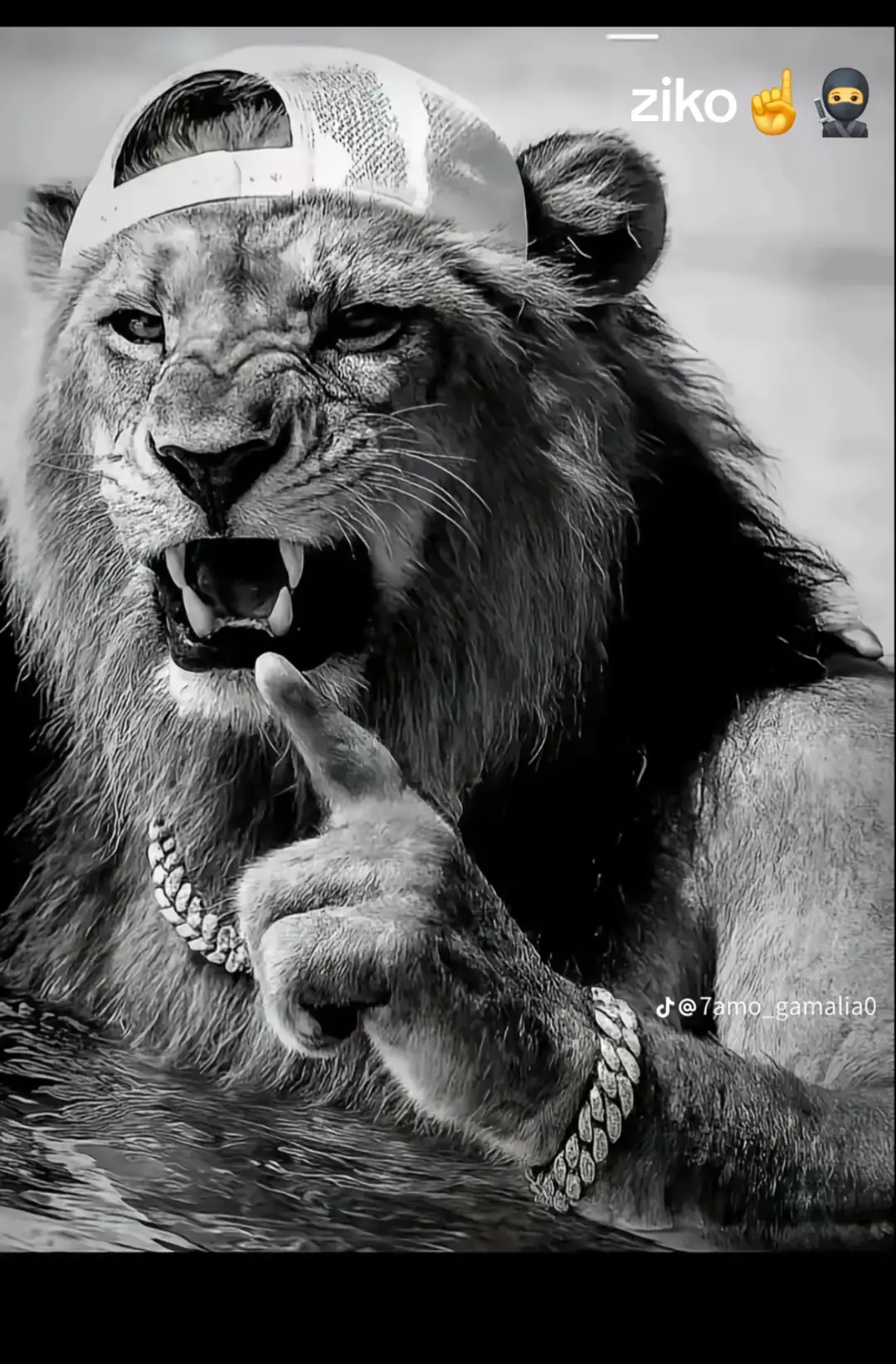 لا انا بطولي بس انت ما تعرفوش على سكه تقولي☝️🥷#الشعب_الصيني_ماله_حل😂😂 #العظمه_لله✌️❣️ #الاسماعيليه_بلدناا🇺🇦 #اخصام_سهله🥷⚔️🖤 #اخوك_بنفسو_مشرف_نفسو☝🏻👑 