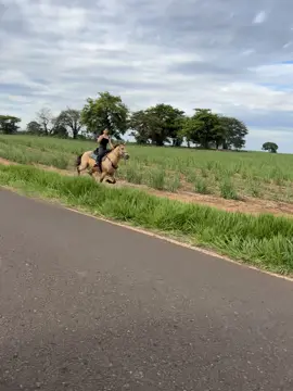 A liberdade de fazer o que se quer.